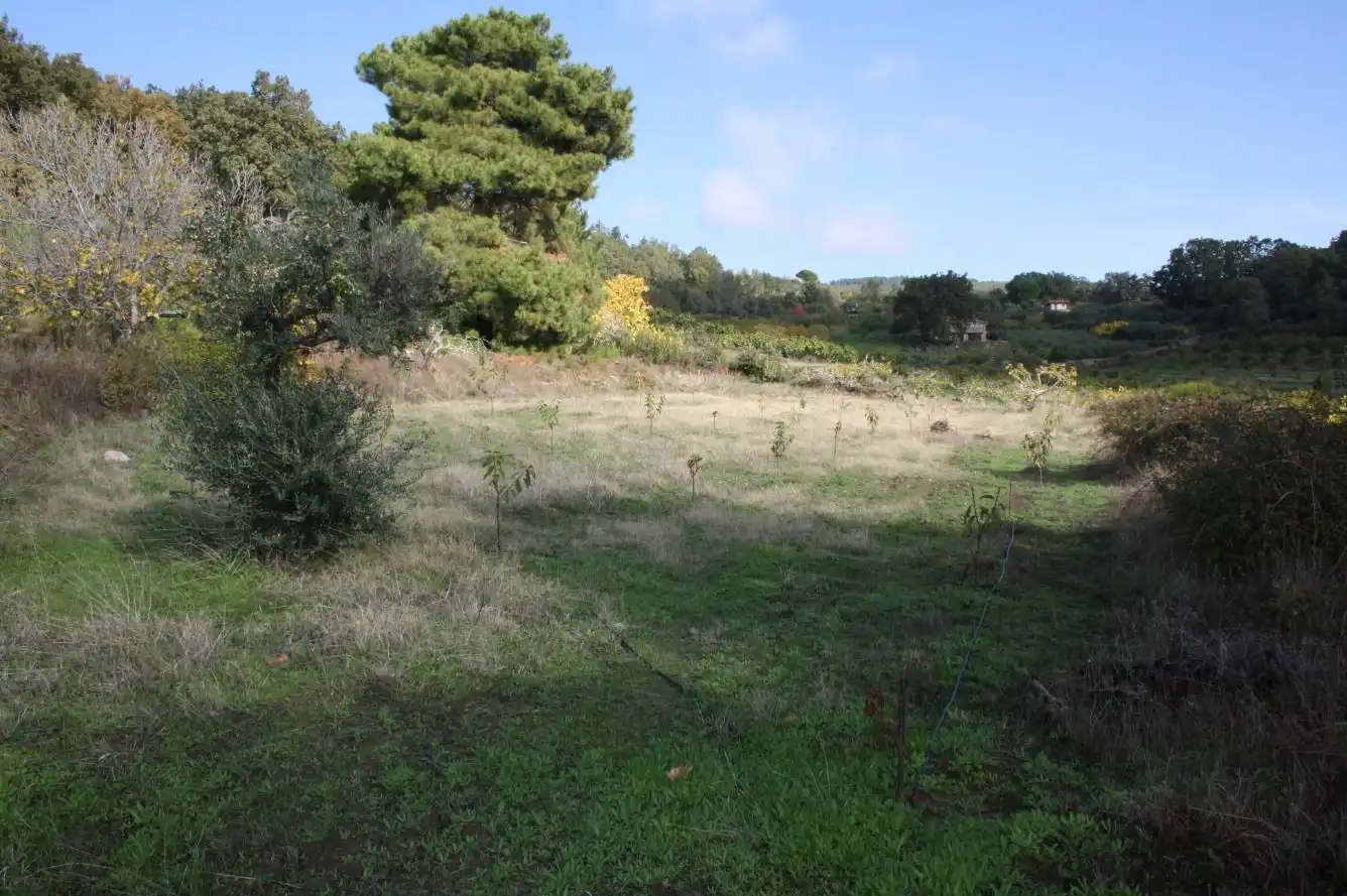 Finca rústica en venta en Torremenga con Jardín privado, Terraza y Amueblado