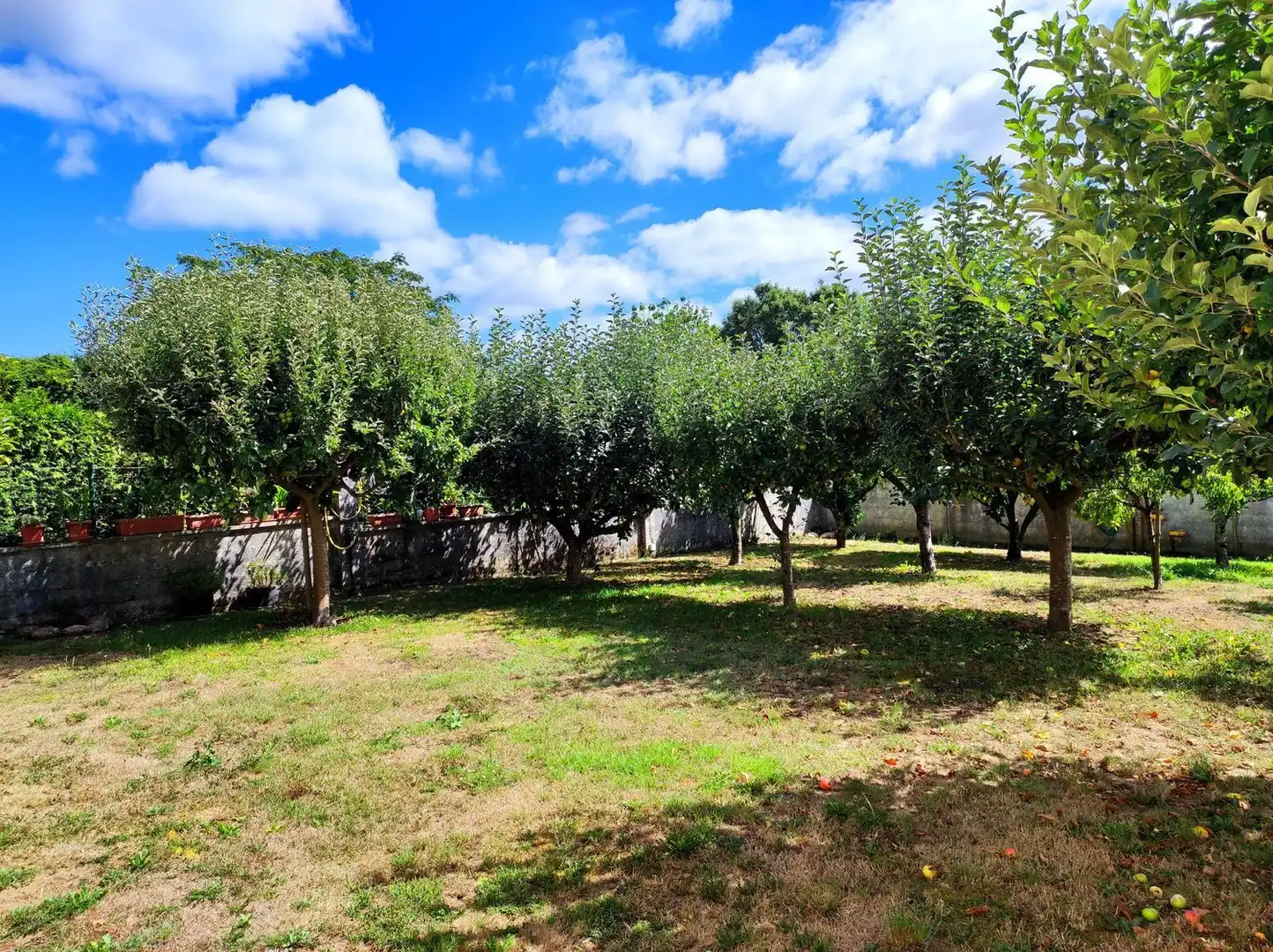 Villa con giardino in vendita a SOBRE IGREXA, imagen 80