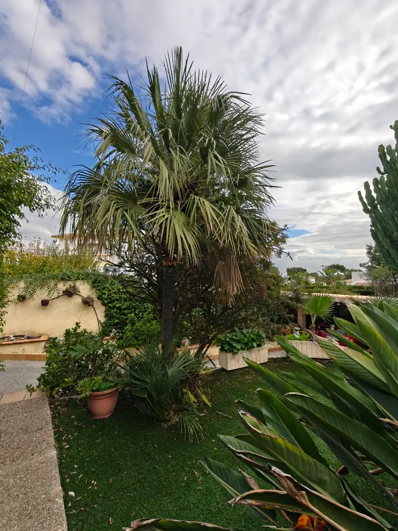 Villa mit Terrasse zum Verkauf in Calle Viena 5, imagen 24