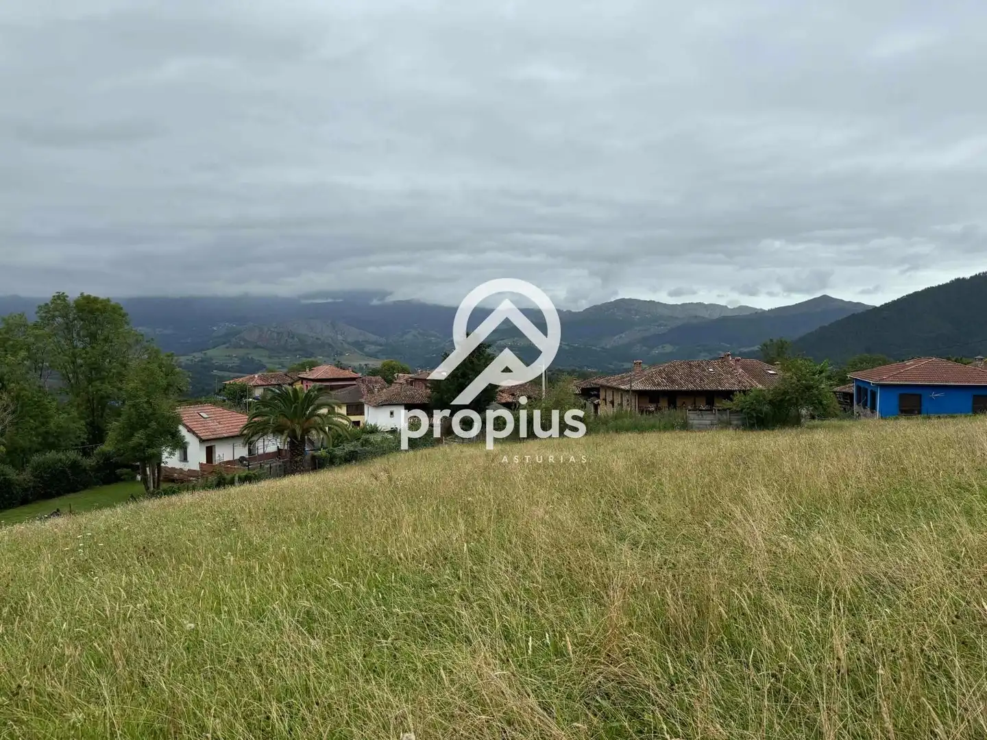 Rural land for sale in Arenas, imagen 25