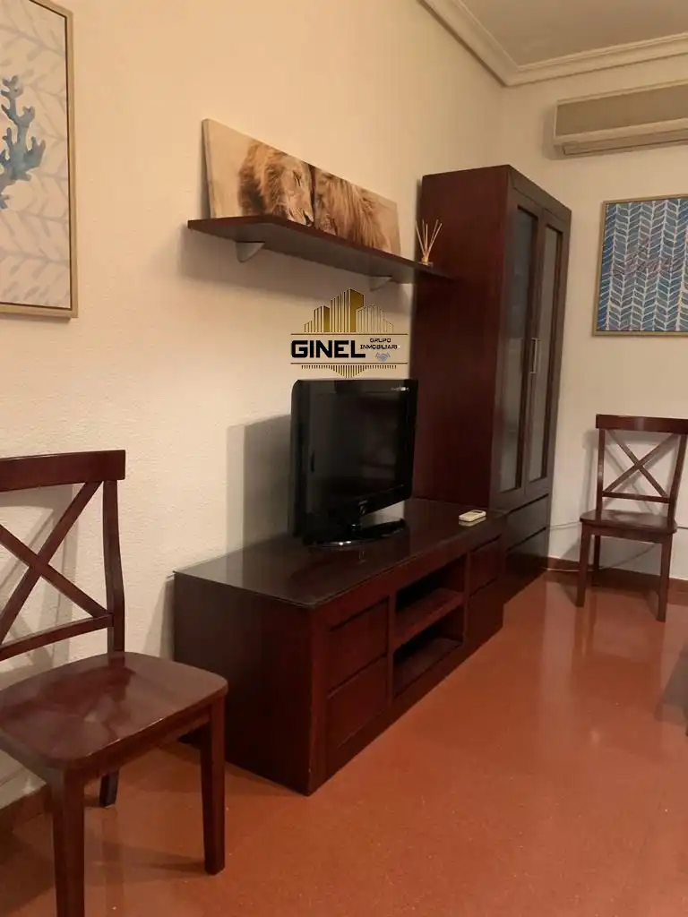 Sala d'estar de Pis de lloguer en Jaén amb Aire condicionat, Calefacció i Terrassa