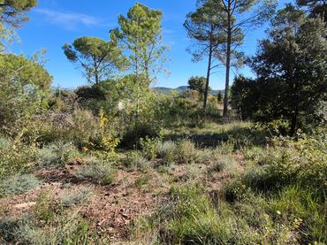 Residential land for sale in Carrer Mollerussa