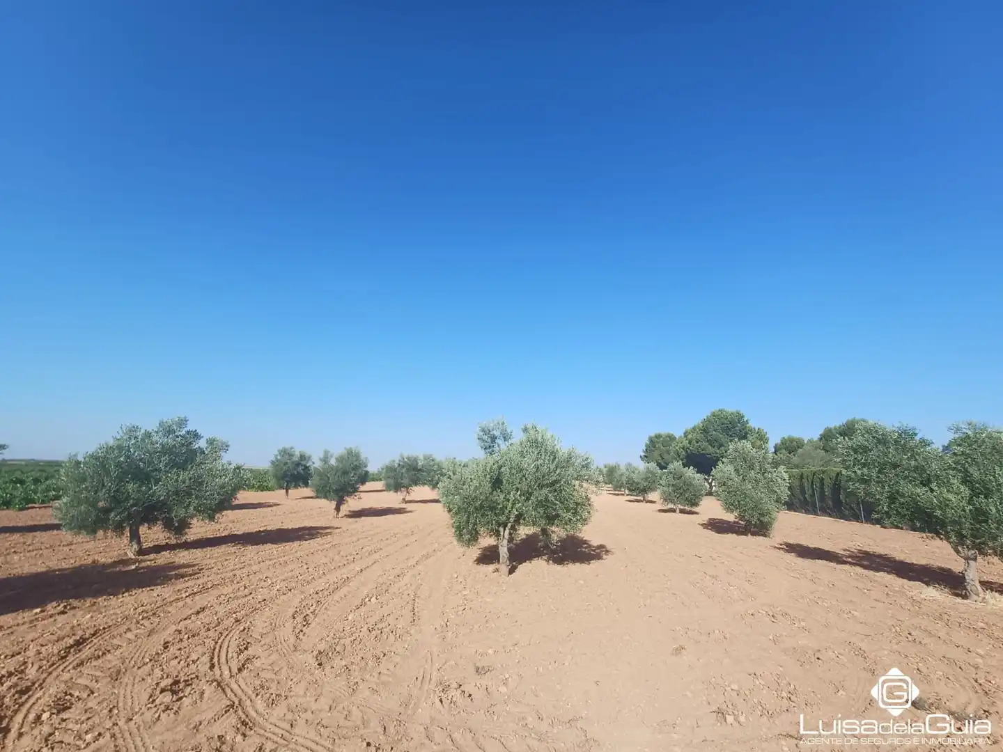 Terreno rustico in vendita a Campo de Criptana, imagen 22