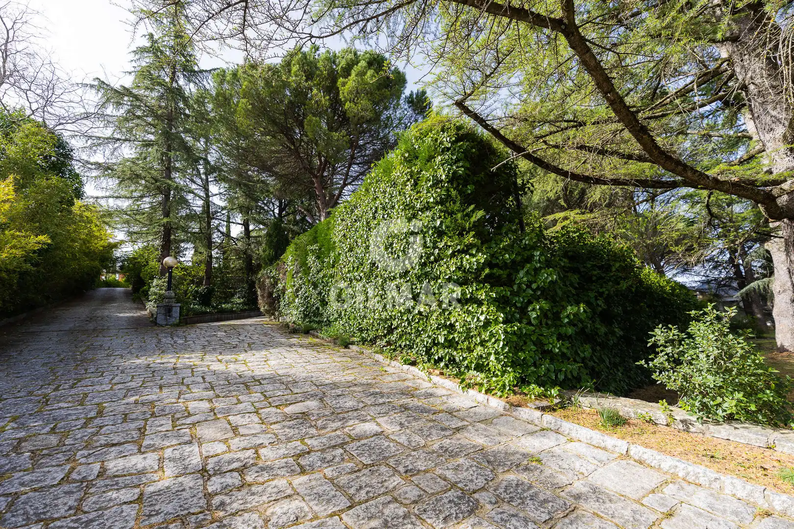 Jardín de Casa o chalet en venta en Collado Villalba con Calefacción