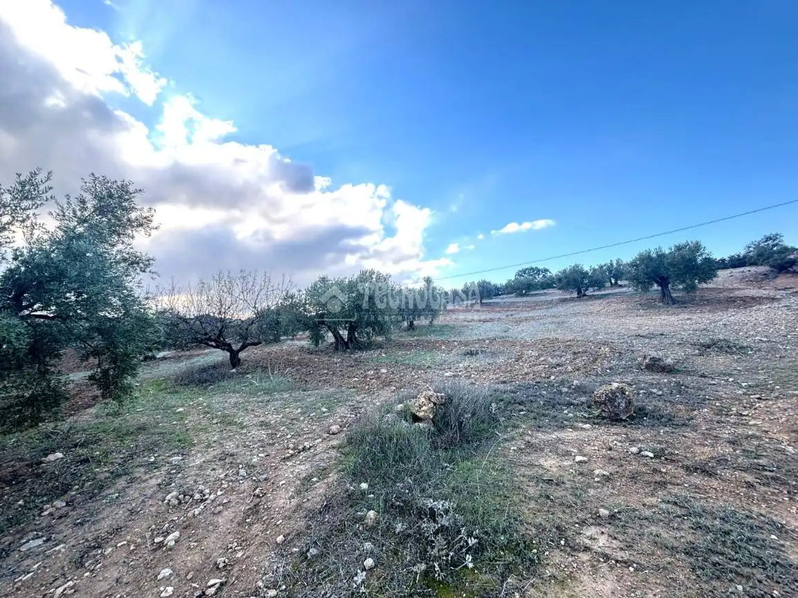 Terreni e lotti in vendita a Centro, imagen 19