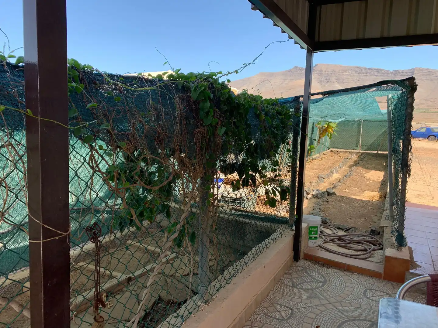 Jardín de Casa o chalet en venta en Puerto del Rosario con Jardín privado, Terraza y Trastero