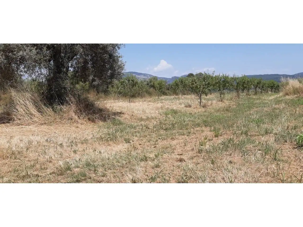 Terreni e lotti in vendita a Poligono PARCELA 351 CONELLER, SANTA MARIA DE DULCIS, imagen 3