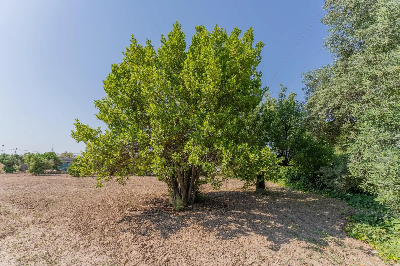 Haus zum Verkauf in Algorós - El Derramador, imagen 23