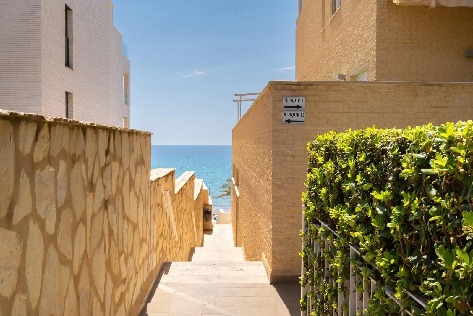 Apartment to rent in Playa Muchavista, imagen 16