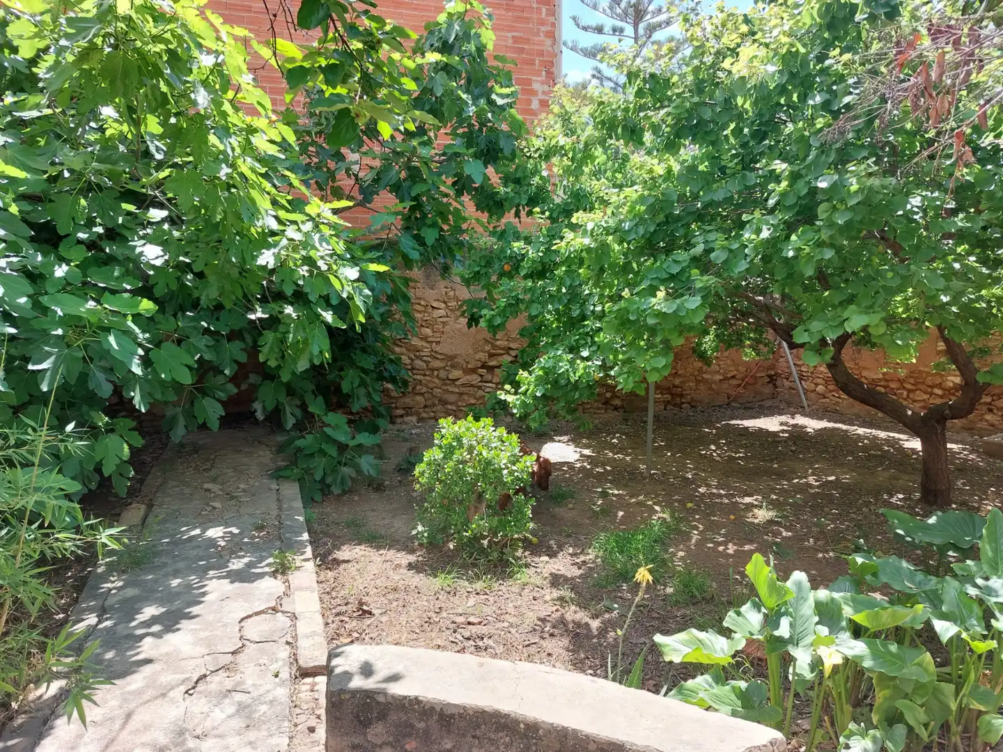Casa con terraza en venta en Carrer Major, imagen 9