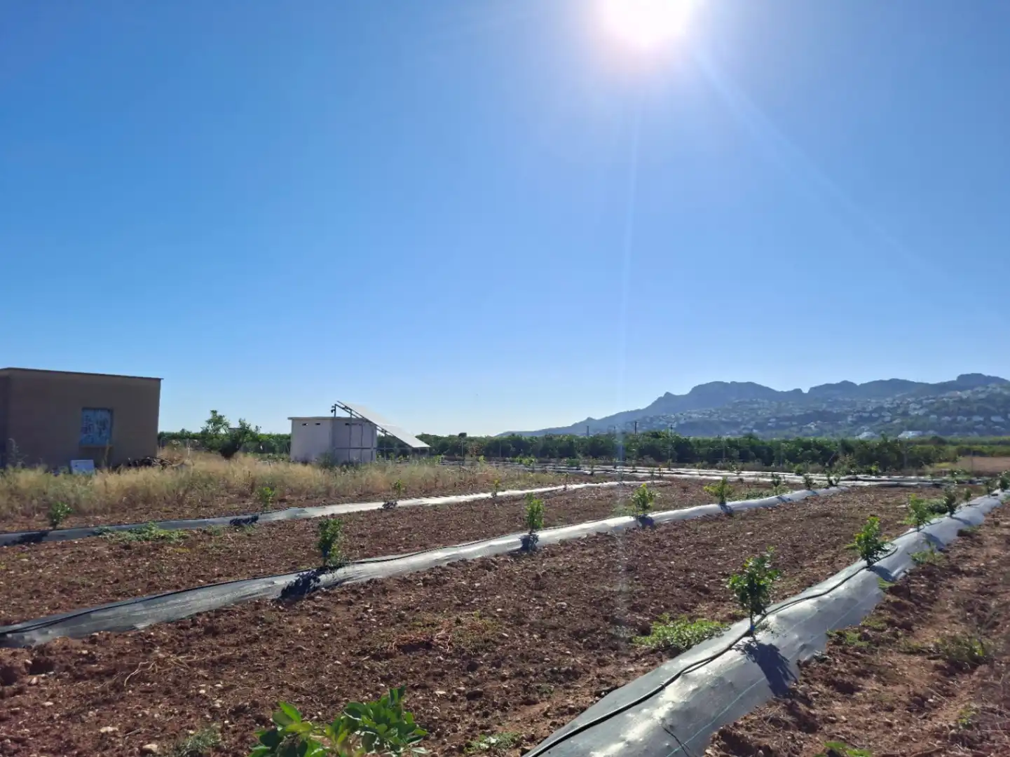 Terreny residencial en venda a Pego, imagen 9