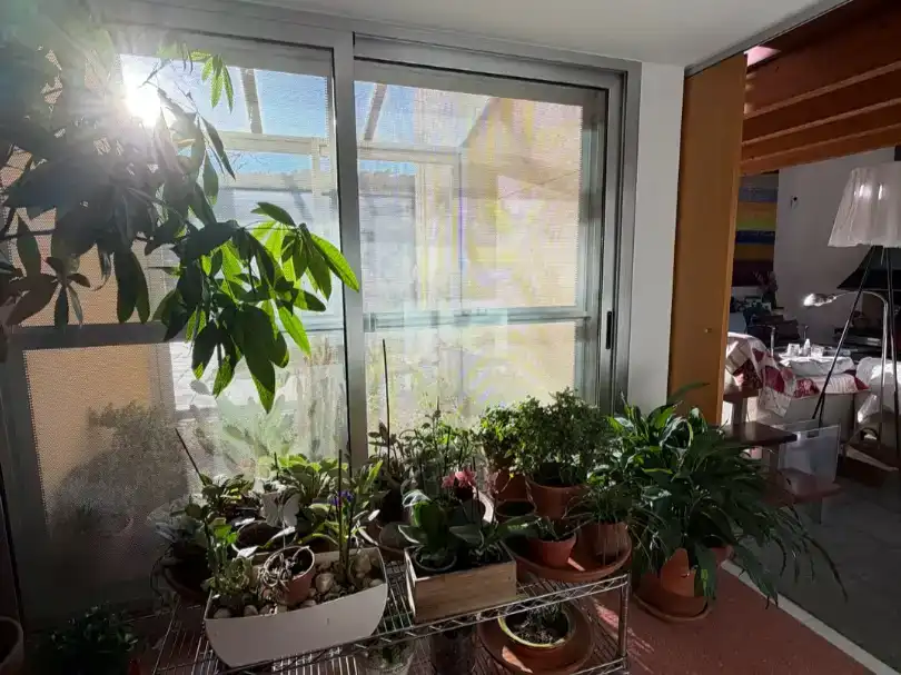 Terraza de Casa o chalet en venta en Sant Esteve de Palautordera, Barcelona