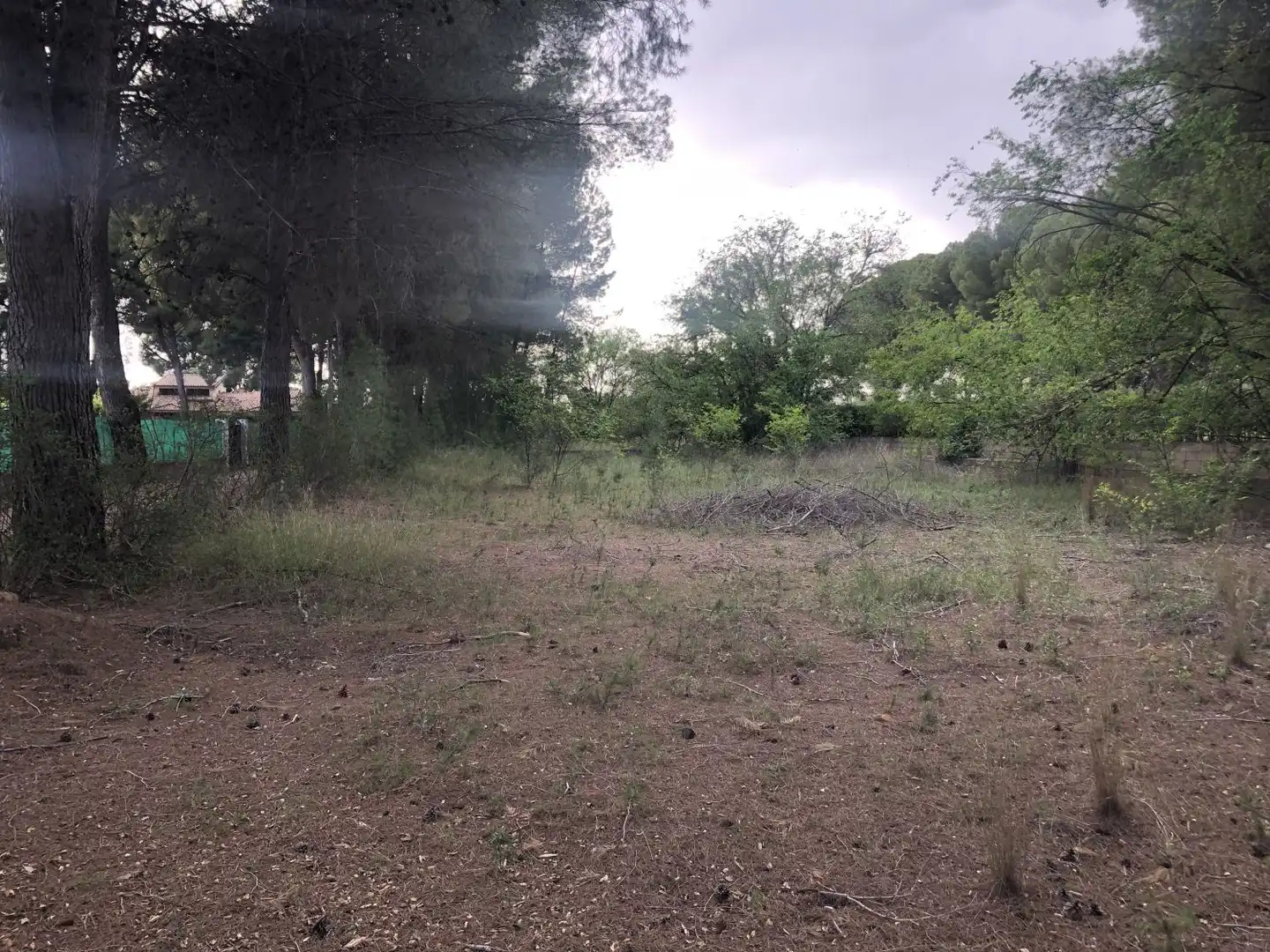 Terrenos y solares en venta en Hellín, imagen 2