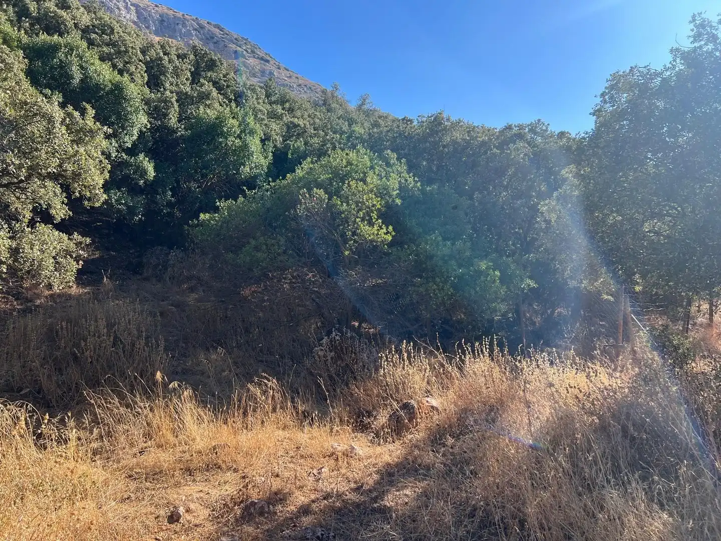 Finca rústica en venda en Antequera