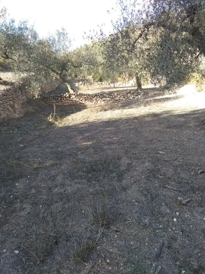 Country homes for sale in El Pinell de Brai