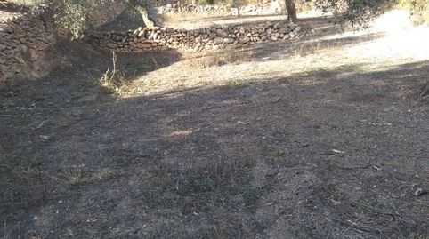 Foto 3 de Finca rústica en venda a El Pinell de Brai, Tarragona