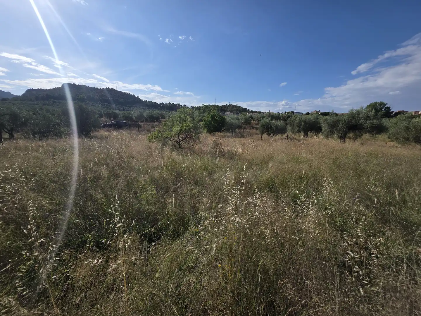Terreno rustico in vendita a Socovos, imagen 3