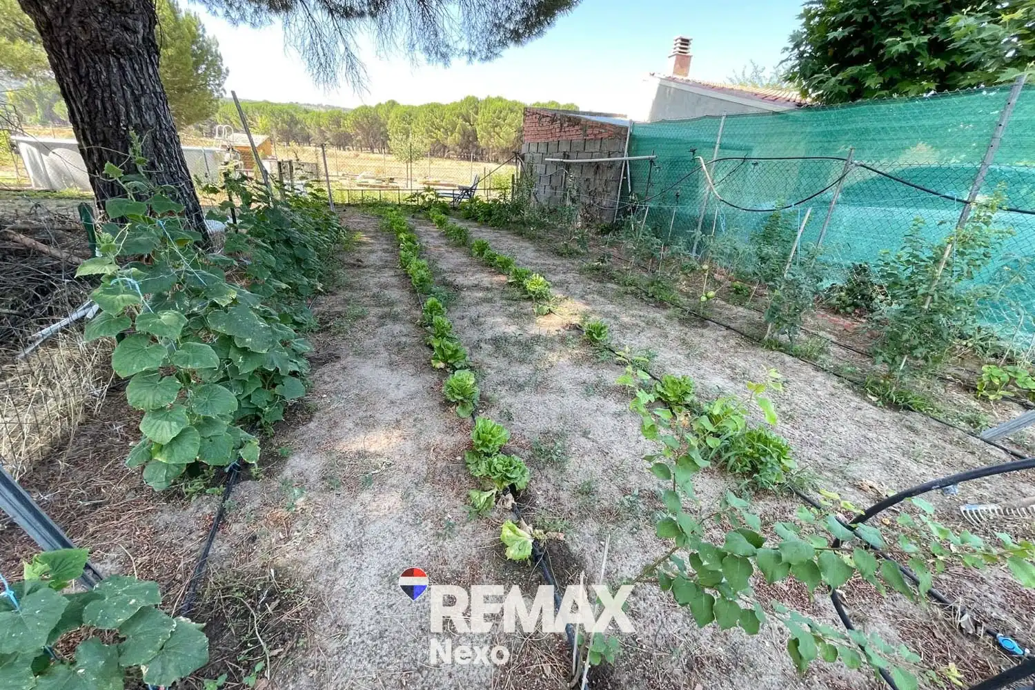 Casa o chalet en venta en Santibáñez de Valcorba con Calefacción, Jardín privado y Terraza
