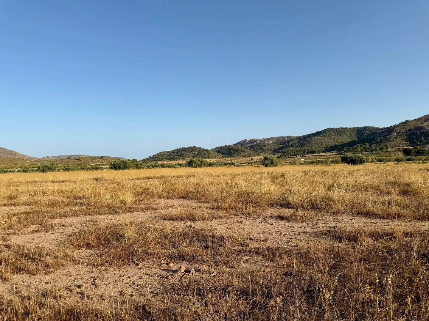 Rural land for sale in Algueña, imagen 8