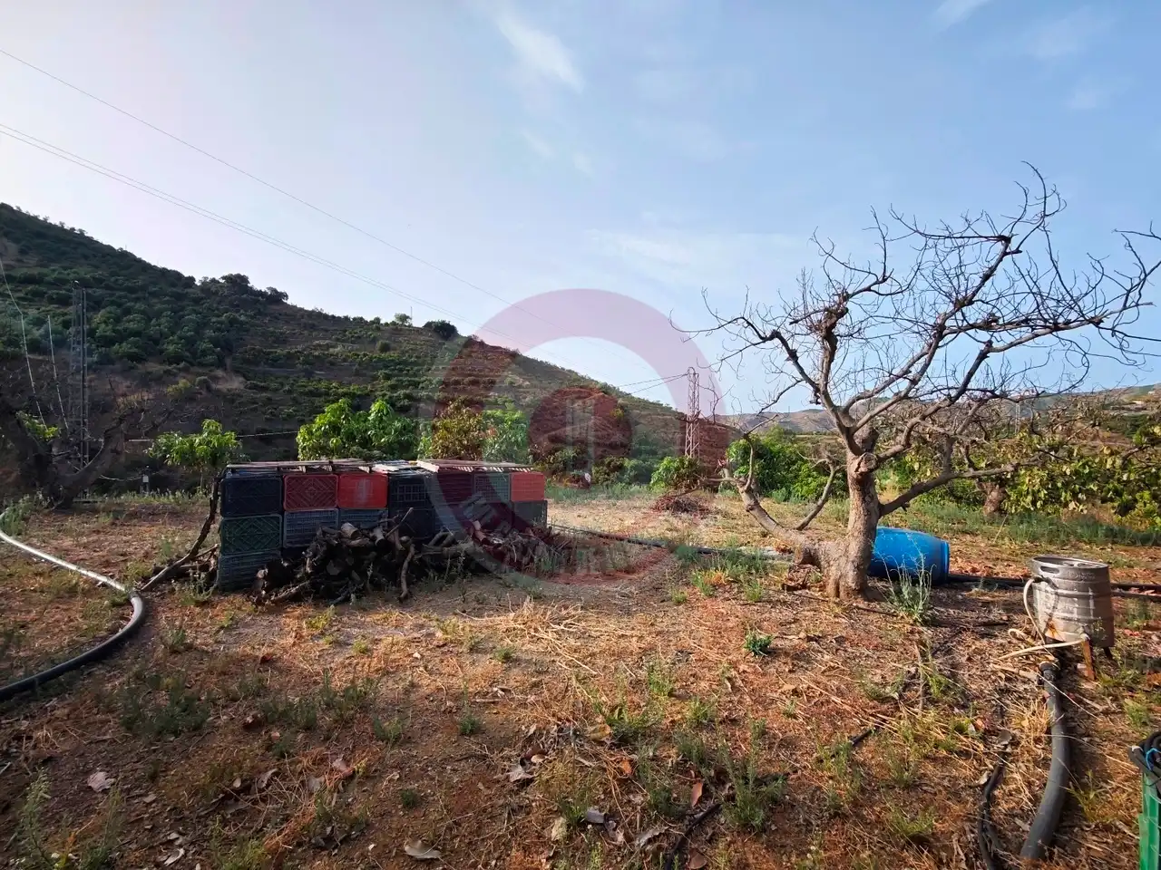 Finca rústica en venda en Comares amb Terrassa