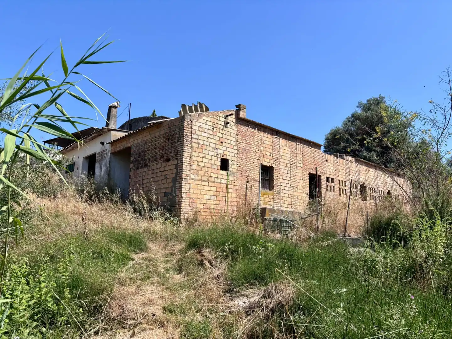 Außenansicht von Grundstücke zum Verkauf in Arcos de la Frontera