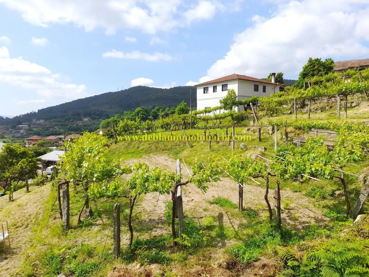 Rural land for sale in Tomiño, imagen 3