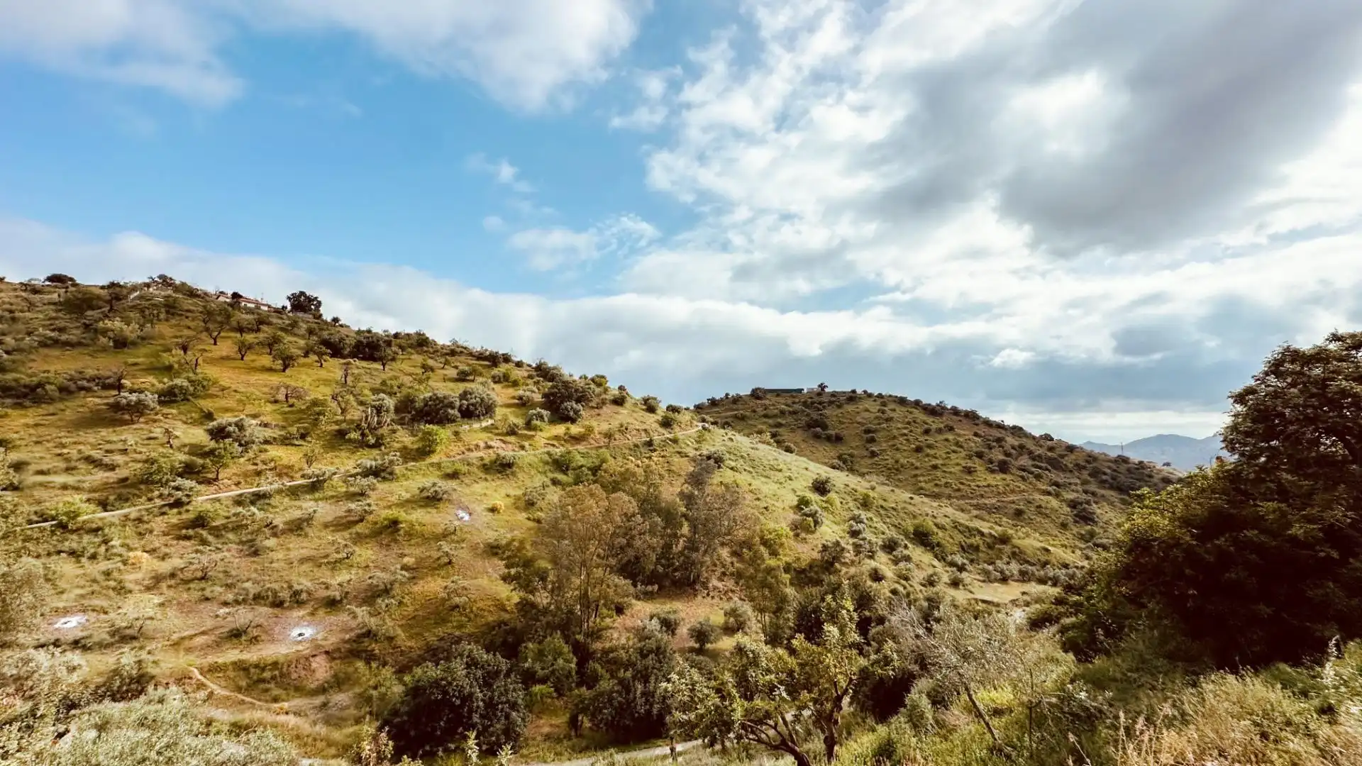 Houses for sale in Almogía