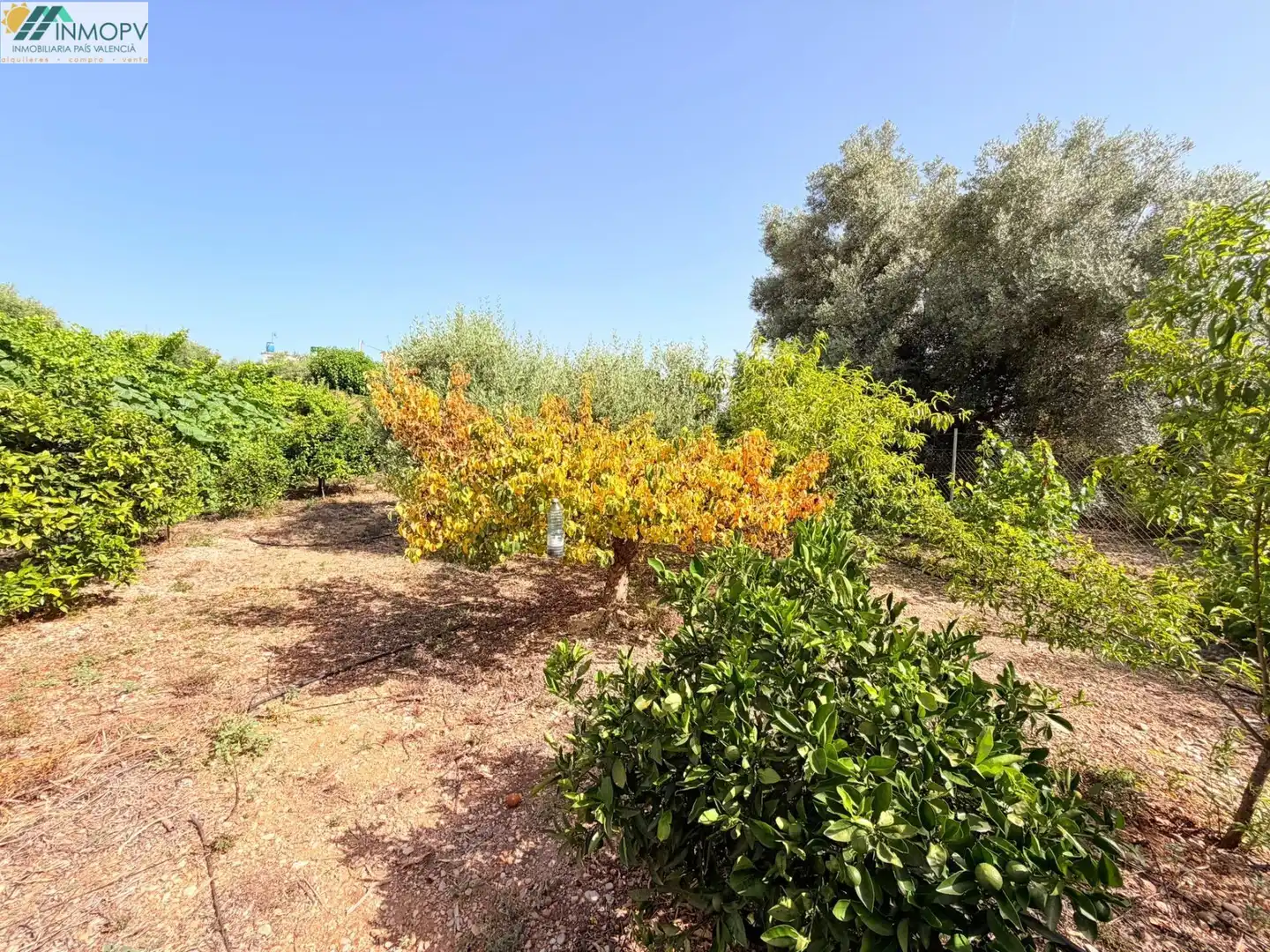 Houses for sale in Vinaròs  with Private garden and Terrace