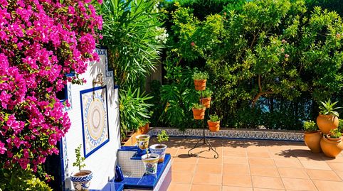 Foto 4 de Casa o chalet en venta en Sancti Petri, Chiclana de la Frontera