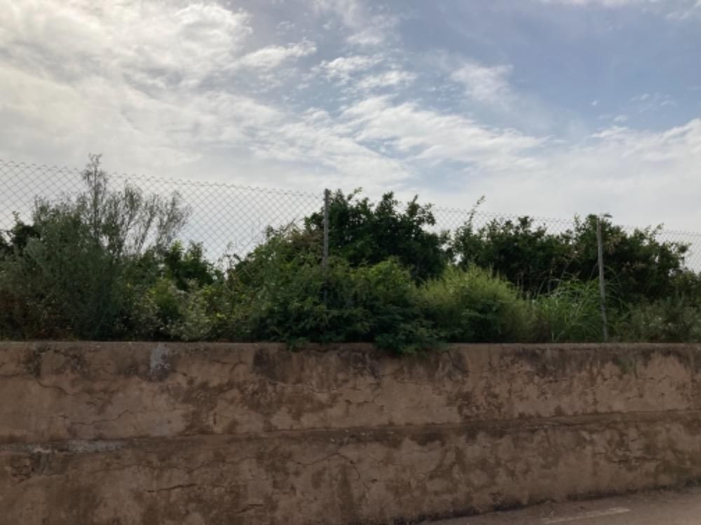 Land for sale in Nules