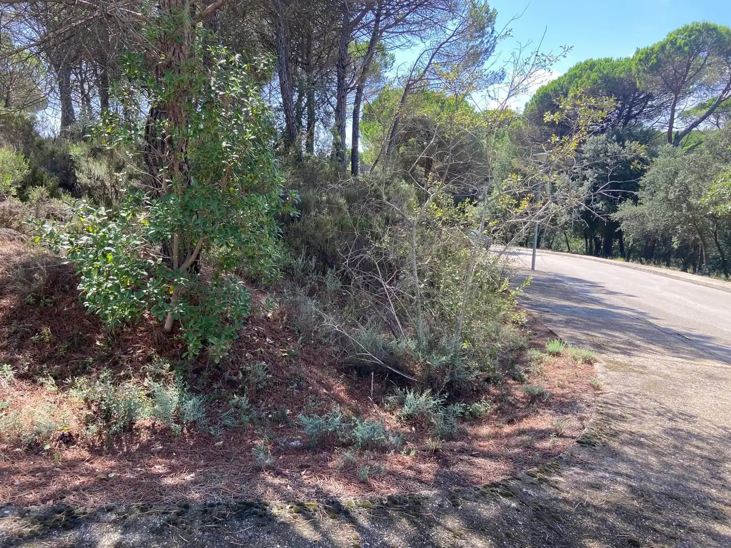 Terrenos y solares en venta en La Goba, imagen 2