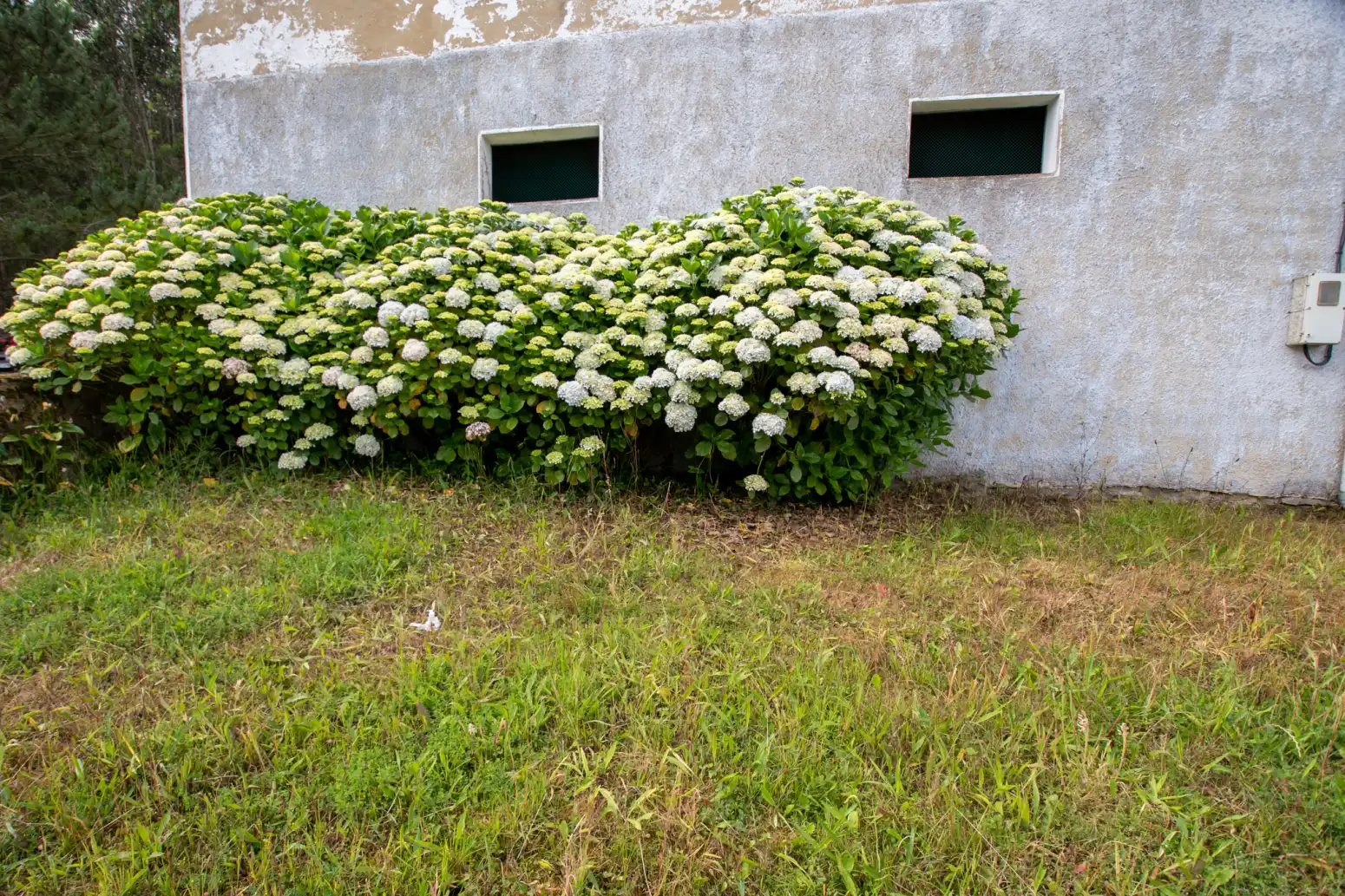 Garden of Houses for sale in Villaviciosa  with Private garden