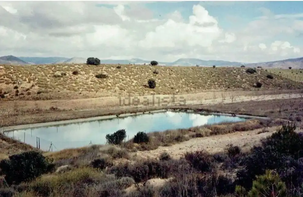 Terreno rustico in vendita a N/A, imagen 17