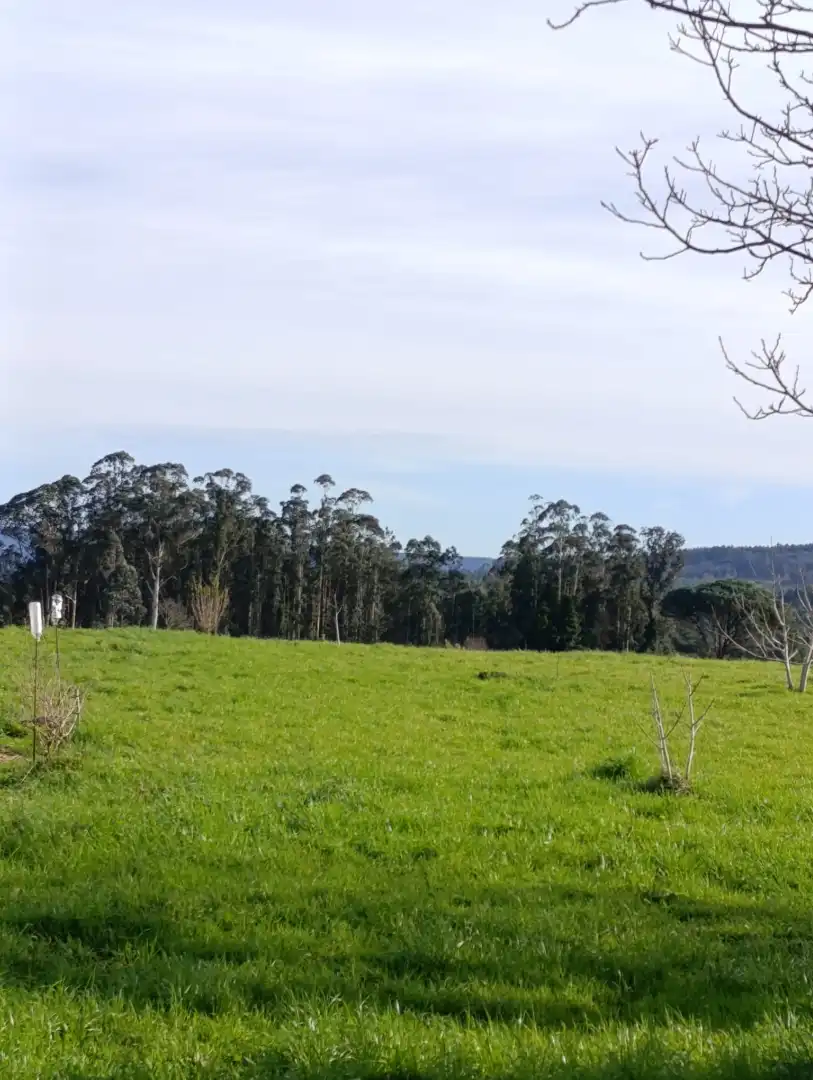 Habitatge amb jardí en venda a Lugar a Ponte de Arriba 12, imagen 7