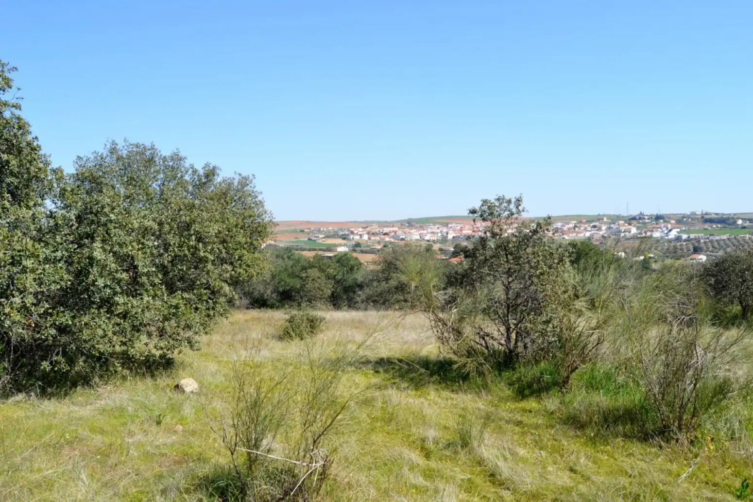 Terreni e lotti in vendita a Don Álvaro, imagen 10