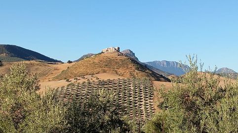 Finca Rúst. en venta en Olvera., imagen 2
