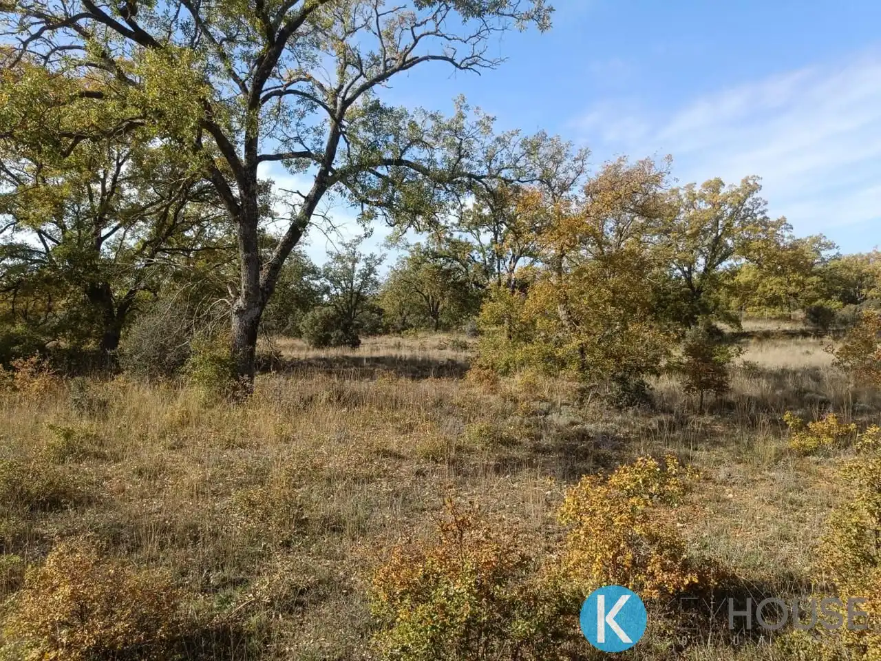 Land for sale in Pastrana