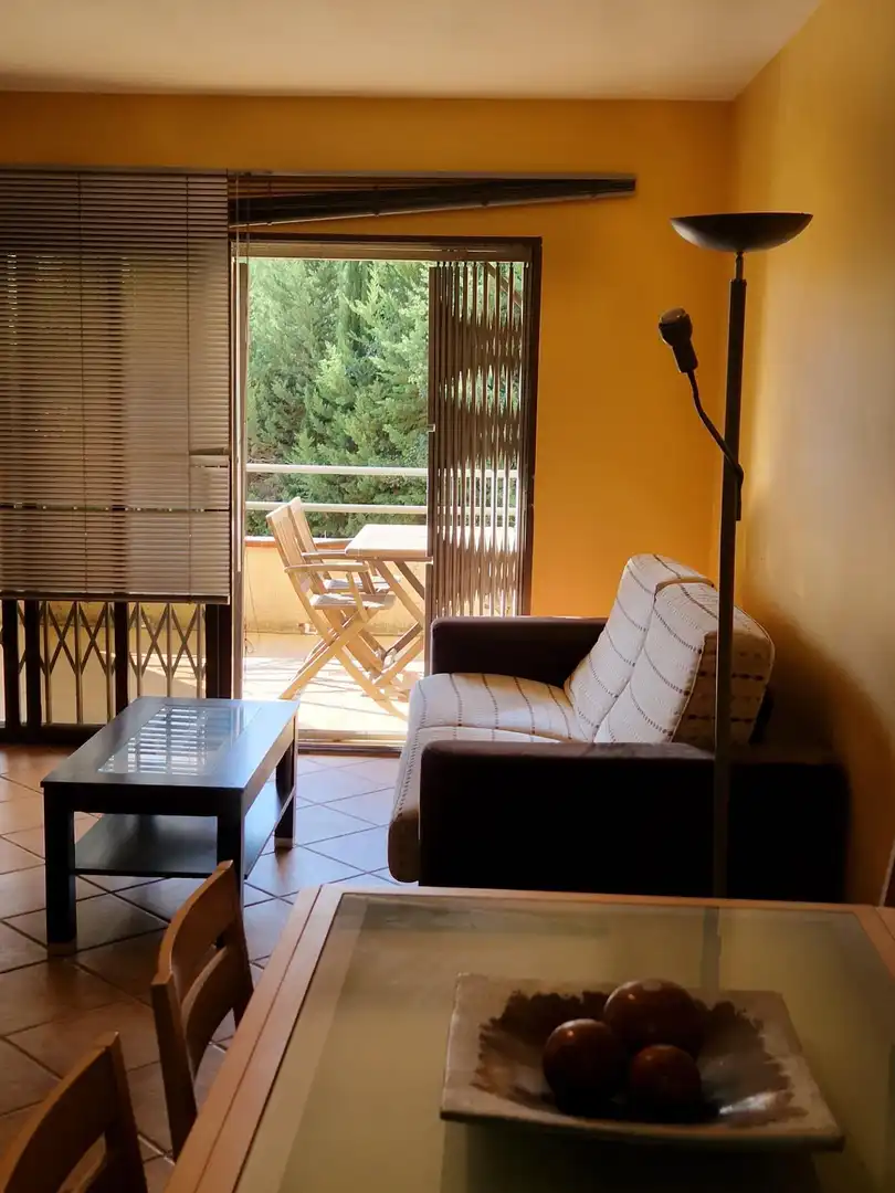 Estudio con terraza en venta en FARIGOLA, imagen 2