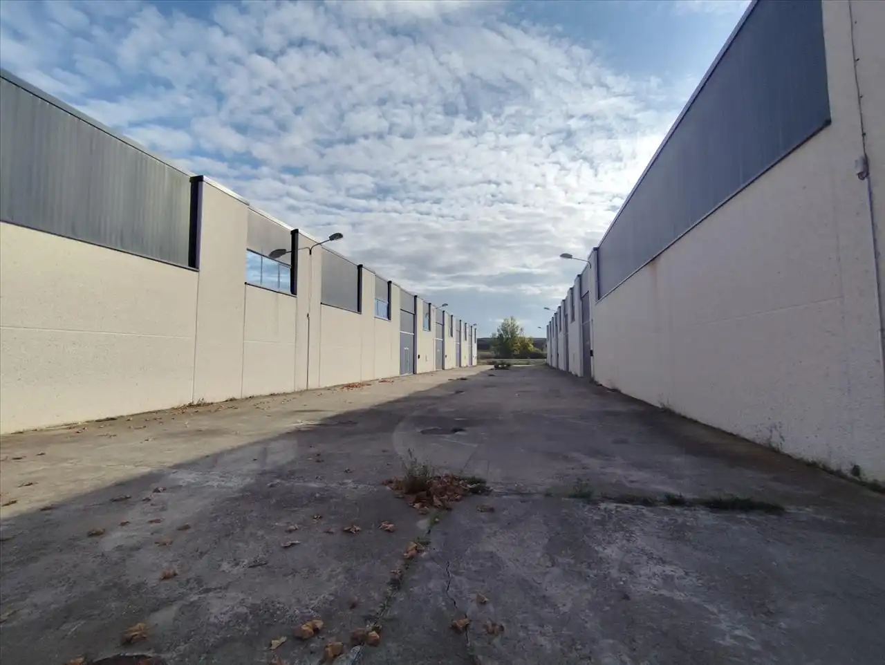 Nave industrial in vendita a TN SECTOR-B, imagen 2