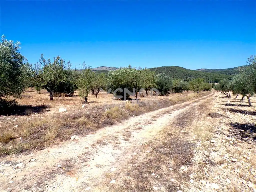 Terreny rústic en venda a Castalla, imagen 2