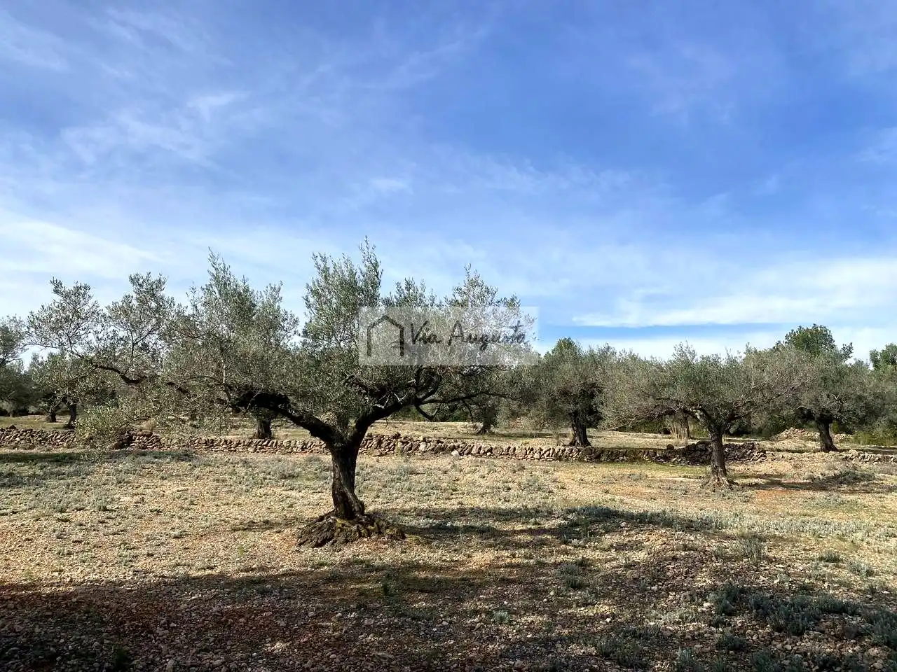 Terreno rustico in vendita a Planas, imagen 22