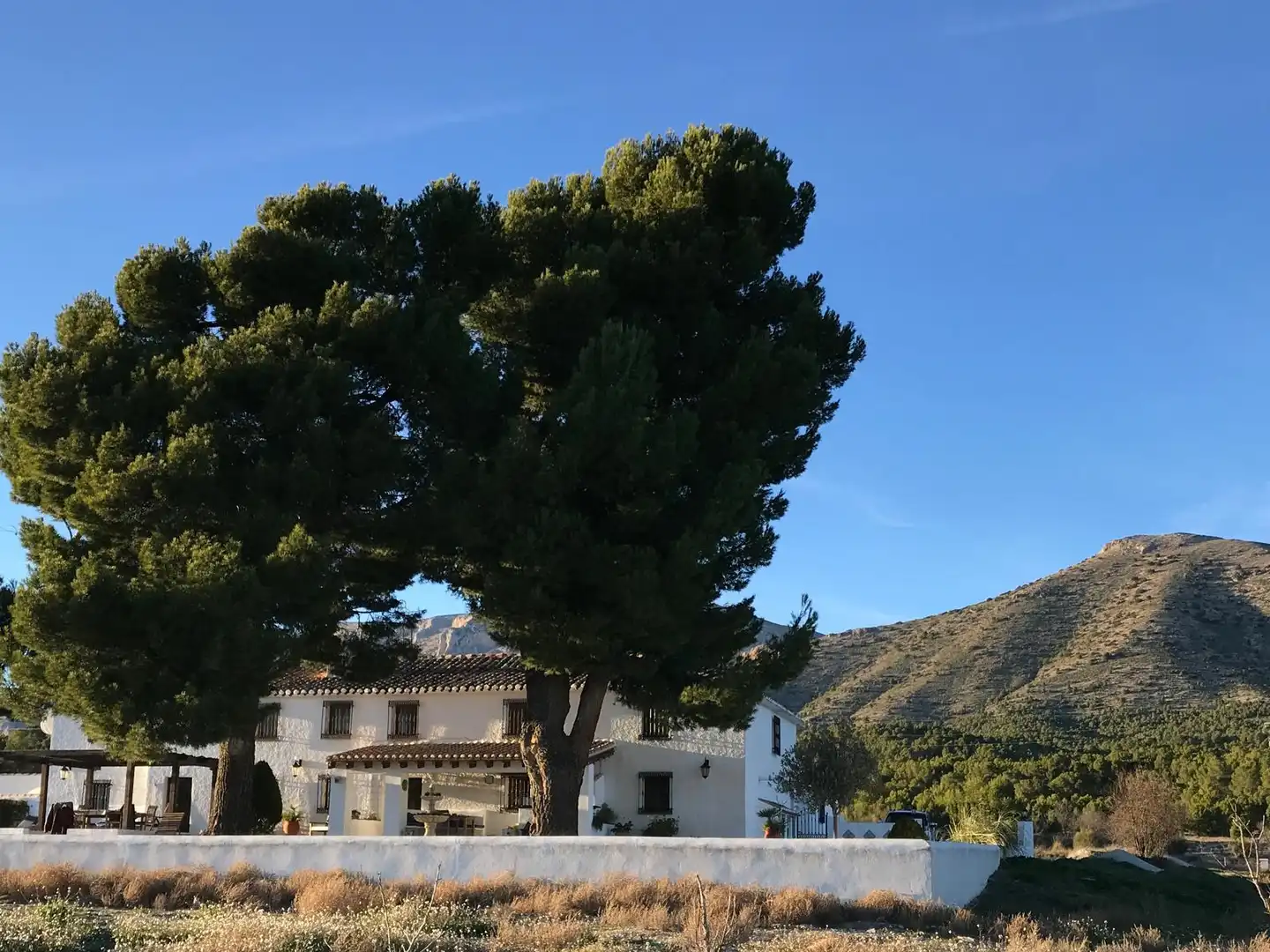 Country house for sale in Chirivel, imagen 6