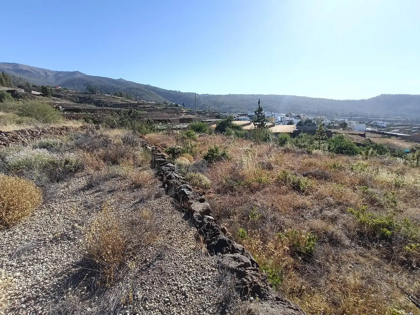 Terreno rústico en venta en M\A LIRIOS. VILAFLOR DE CHASNA [S.C. TENERIFE], imagen 11