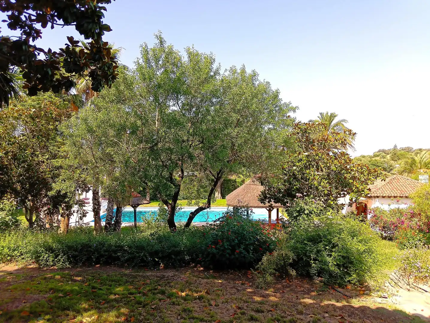 Jardí de Casa o xalet en venda en El Bosque amb Piscina comunitària