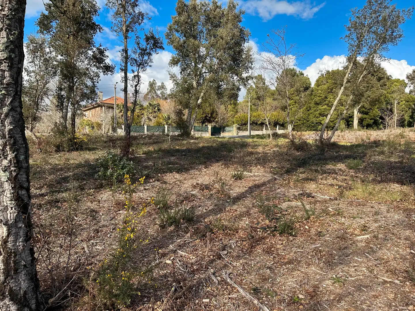 Terreni e lotti in vendita a Urbanización Ferreiriños 25, imagen 7