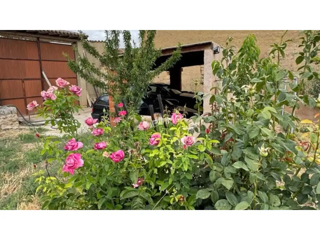 Garden of Country homes for sale in Villalonso