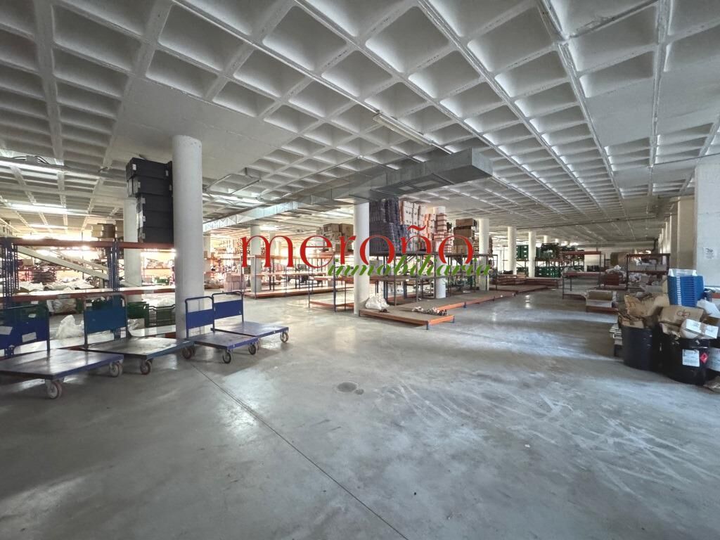 Nau industrial de lloguer en Elche / Elx
