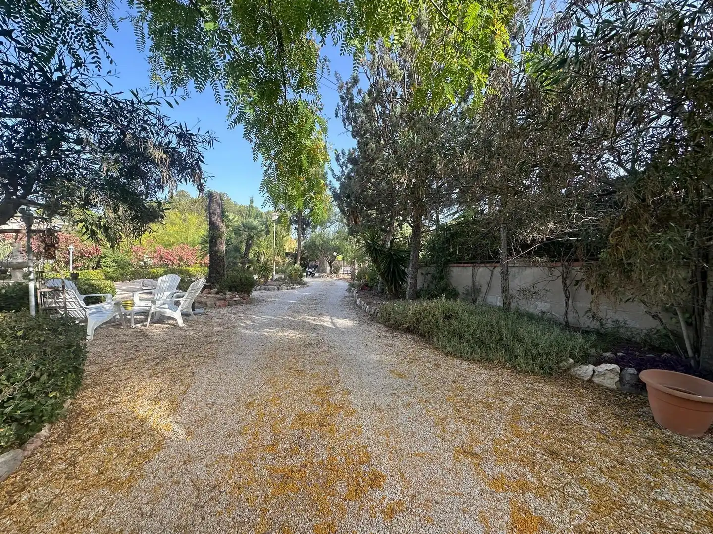 Vista exterior de Casa o xalet en venda en Monóvar  / Monòver amb Jardí privat