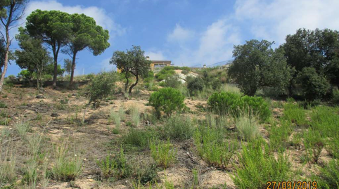 Photo 3 of Residential for sale in Montserrat Roig, 15, Mas Mora - Sant Daniel, Barcelona