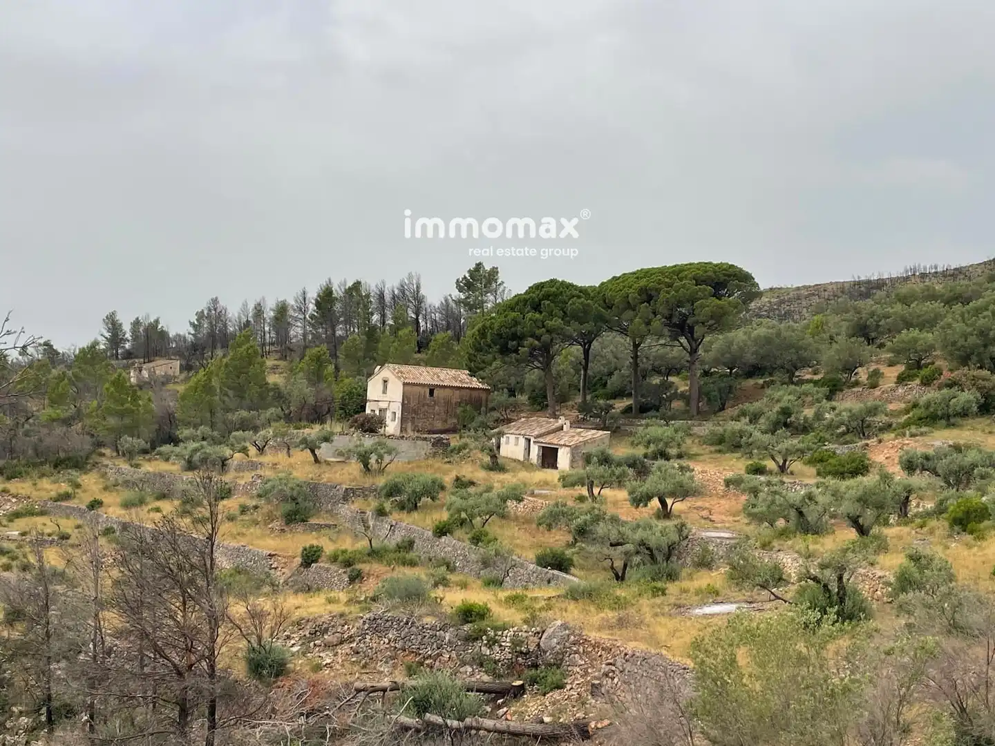 Casa o chalet en venta en Xerta con Trastero, Piscina y Amueblado